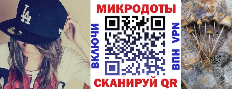 Псилоцибиновые грибы мицелий Канск