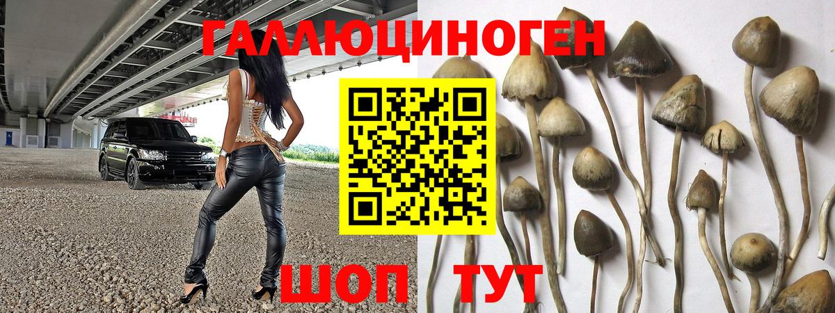 Галлюциногенные грибы Magic Shrooms  Вход с VPN  Канск  Галлюциногенные грибы GOLDEN TEACHER 