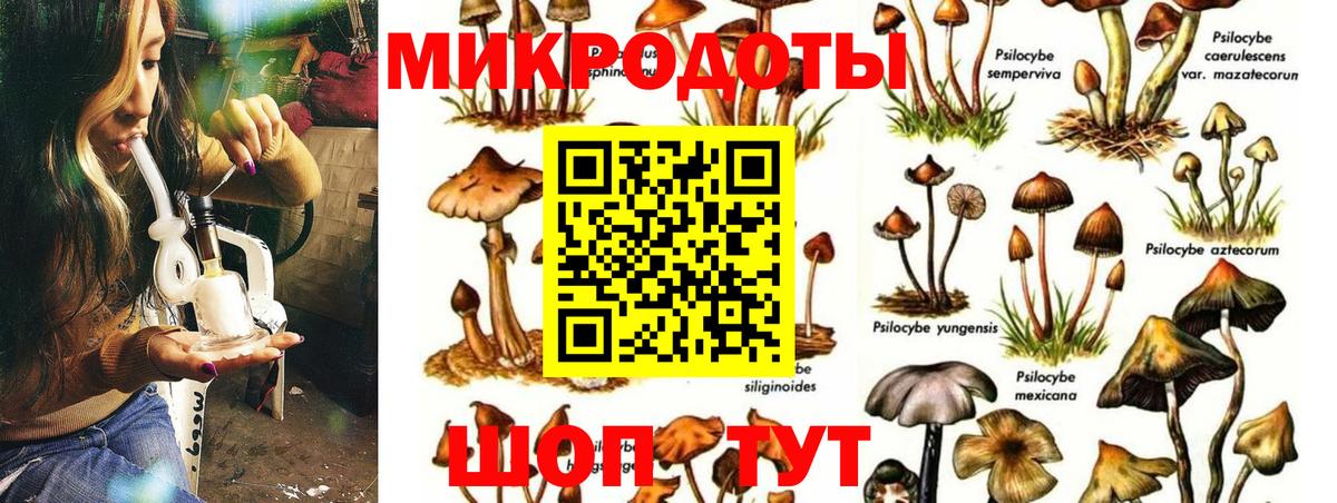 Псилоцибиновые грибы мицелий Канск