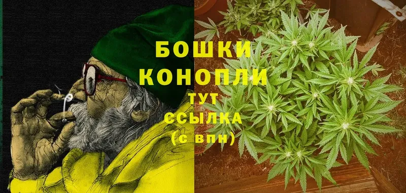 Бошки Шишки THC 21%  как найти наркотики  Канск 